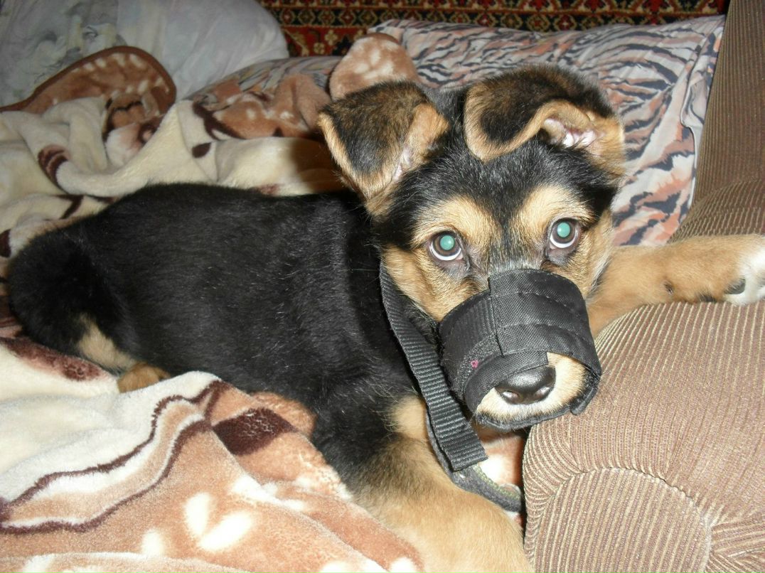 Виталия Кононова | Видное