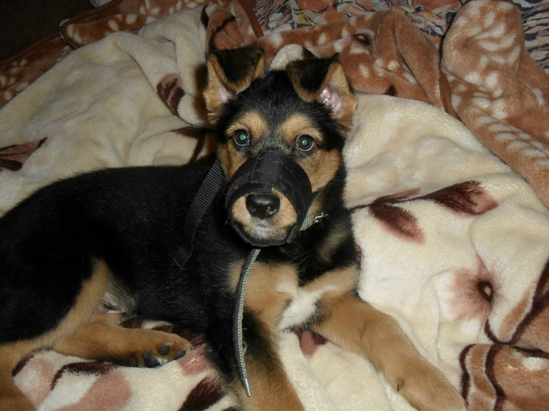 Виталия Кононова | Видное