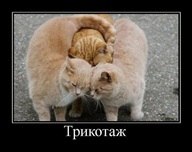 Наталья Карпова | Санкт-Петербург