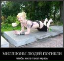Фотография Давид Гусман