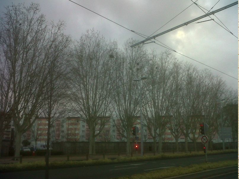 Никита Рябченко | Барановичи