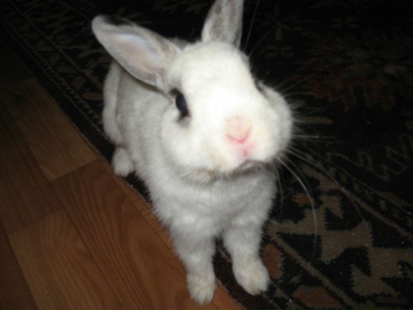 №47, Ирина Коробко, Симферополь №47, Ирина Коробко, Симферополь