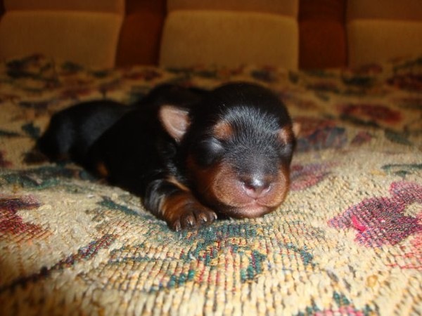 №170, Мария Каневская №170, Мария Каневская