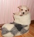 Майя Криворот фотография #26