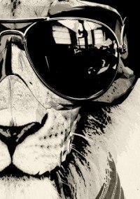 Анастасия Макарова | 