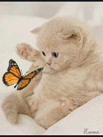 Ирина Ладынина | Москва