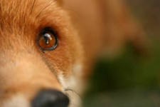 Ксения Долгополова | Нижний Новгород