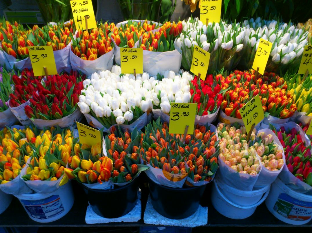 Ольга Лыськова | Москва