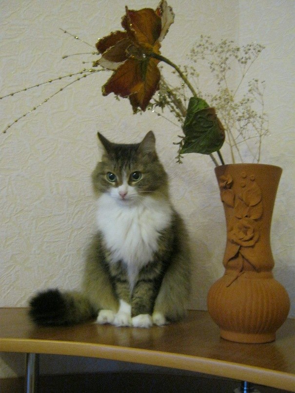 Анастасия Орлова | Нижний Тагил