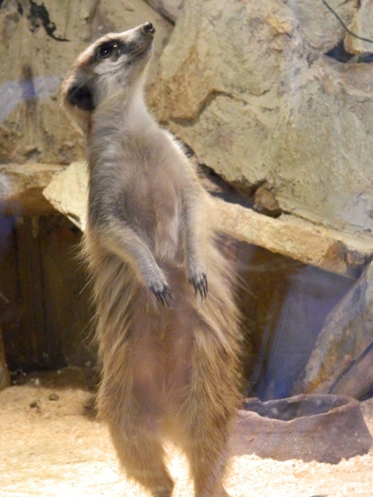 Олеся Солнышкина | Красноярск