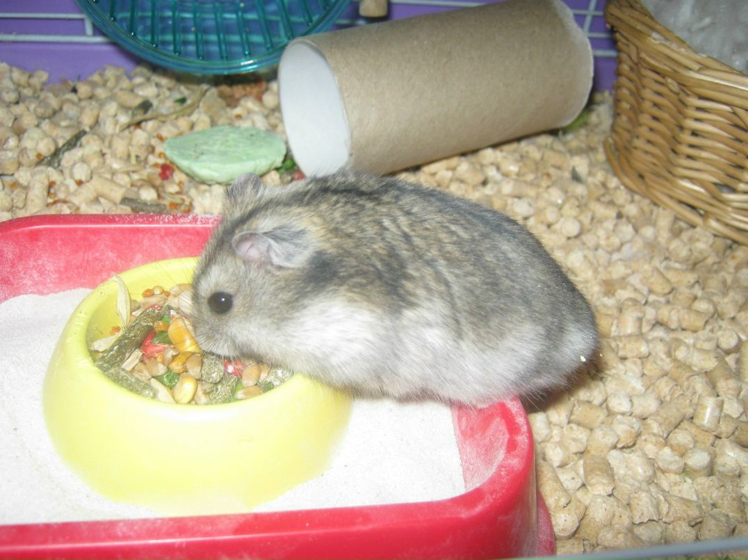 Ольга Печенко | Санкт-Петербург