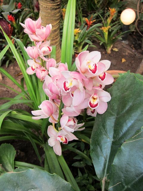 Анастасия Цветкова | Москва