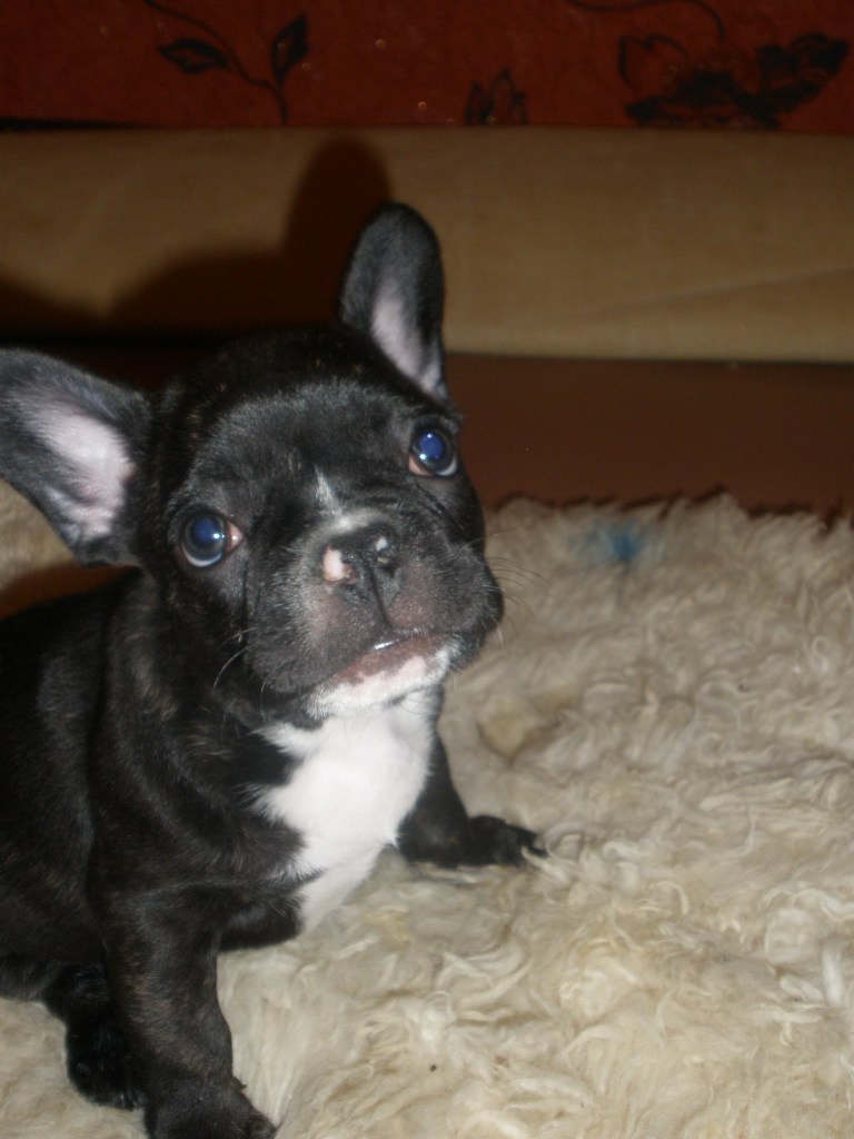 Денис Гончаров | Курахово