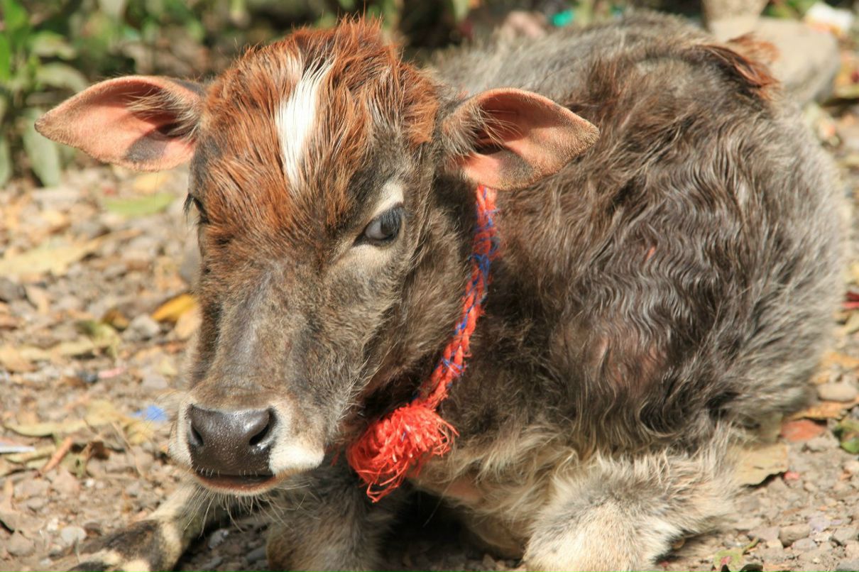 Yanusya Vorushylo | Сумы