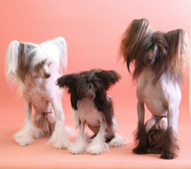 Наталия Попова | Йошкар-Ола