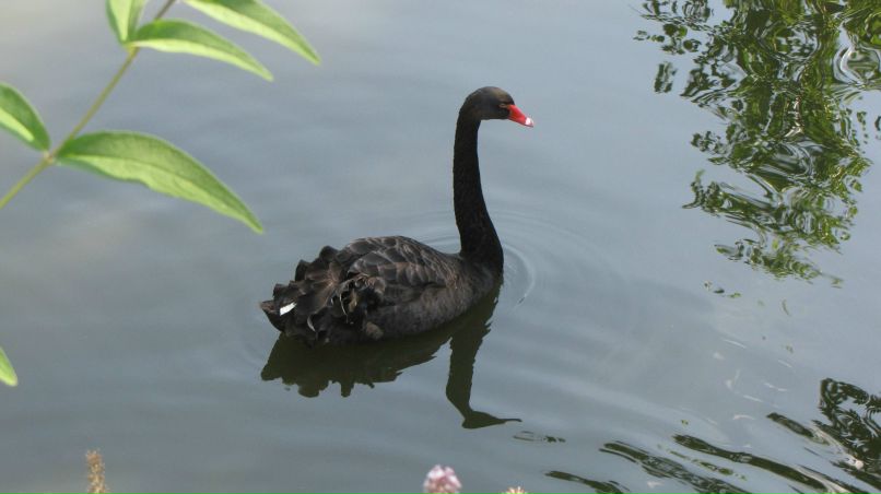 Lera Lebedeva | Киев