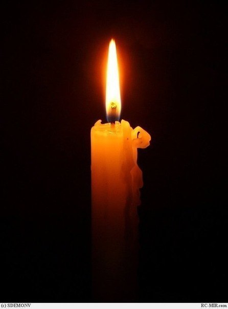 Влад Фролов Кудрявый | Выборг