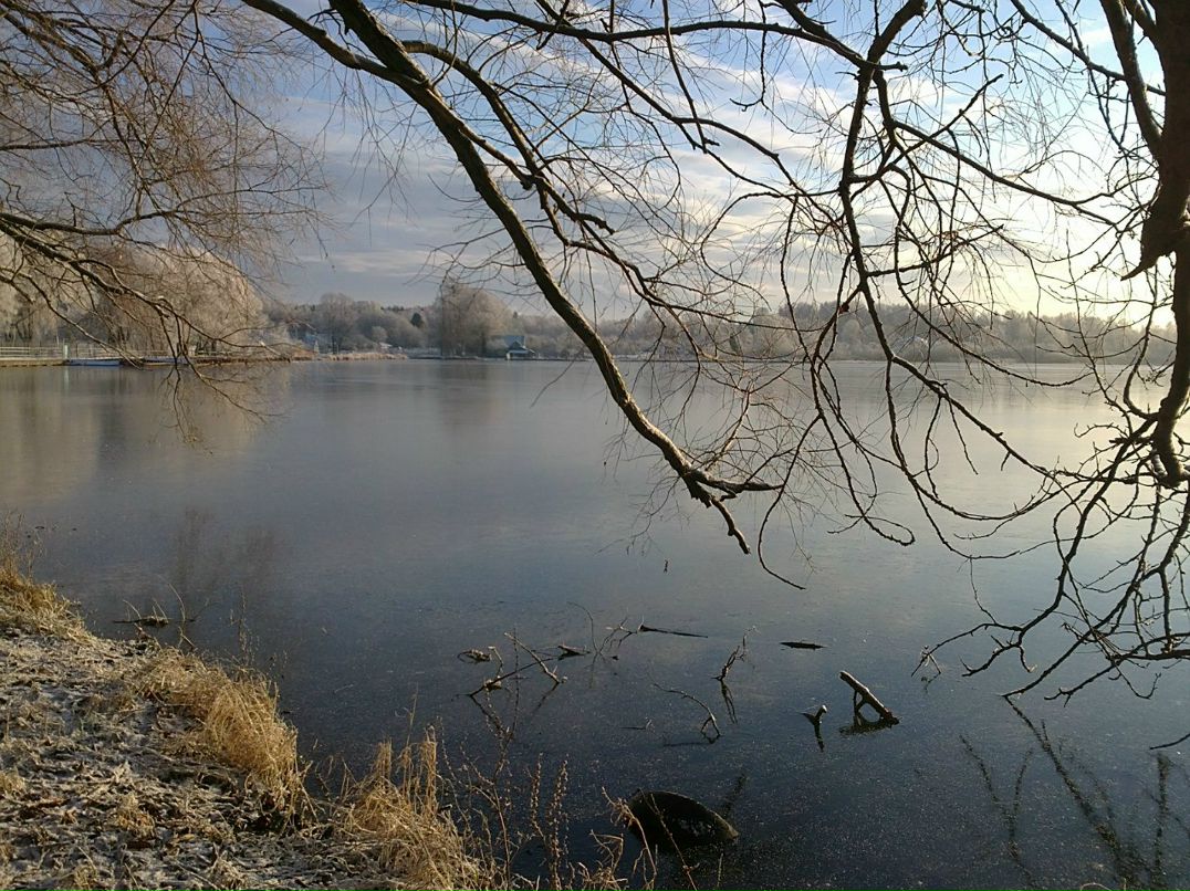 Миха Оралов | Горбунки