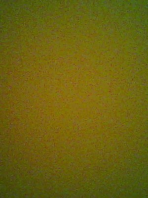 Malik Kgk | Алматы