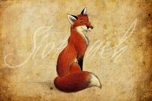 Оля Бодиловская | Гомель