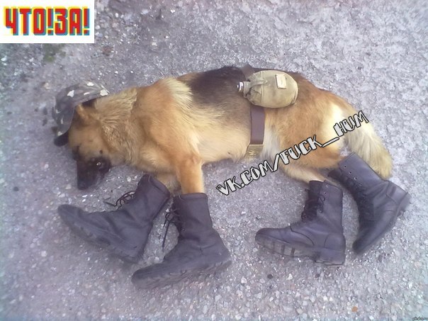 Володимир Березюк 