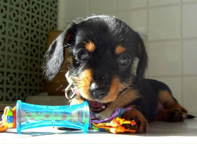 №17, Алексей Александров №17, Алексей Александров