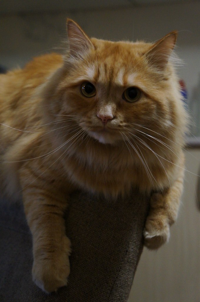 Сергей Степанов | Москва