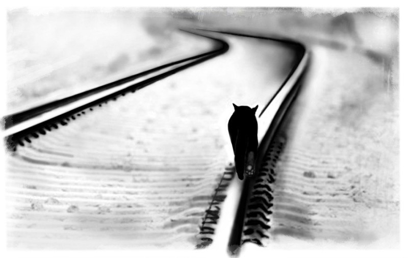 Николай Козлов | Ростов-на-Дону