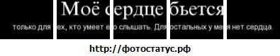Фотография Максим Шишкин