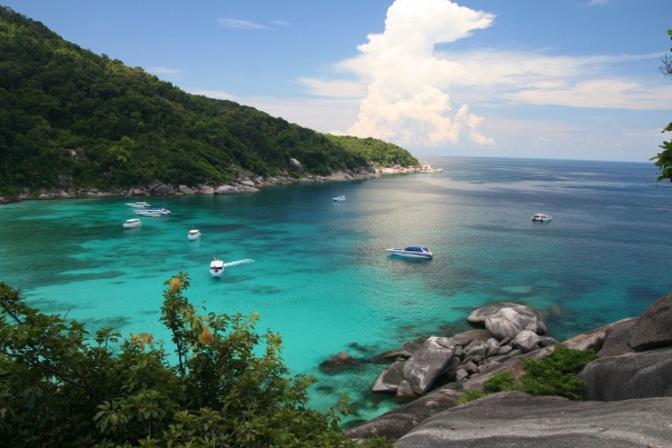 №8, Наталья Андрюшина, 42 года, Москва №8, Наталья Андрюшина, 42 года, Москва