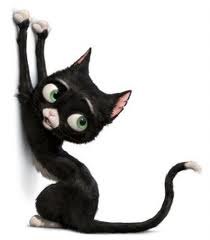 Анна Василейко | Запорожье