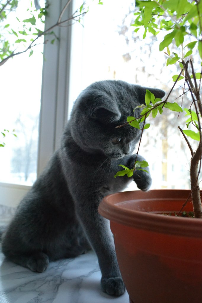 Лена Белькина | Минск