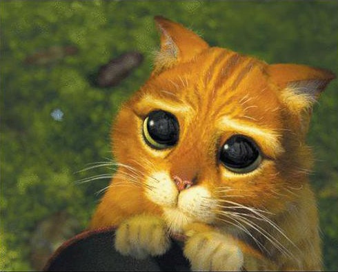 №15, Олег Гончаренко, Конотоп №15, Олег Гончаренко, Конотоп