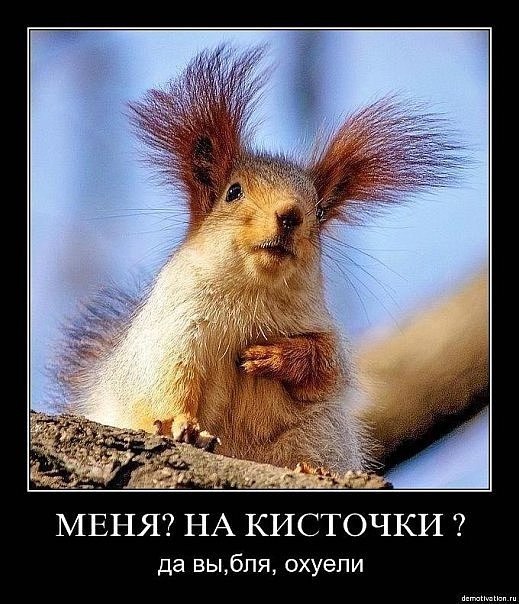 Анатолий Николаев | 