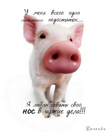 Яна Коник | Санкт-Петербург