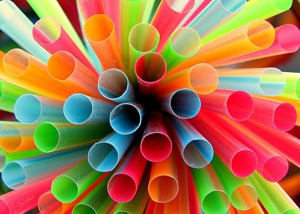 №13, Олег Наконечний, 106 лет, Львов №13, Олег Наконечний, 106 лет, Львов