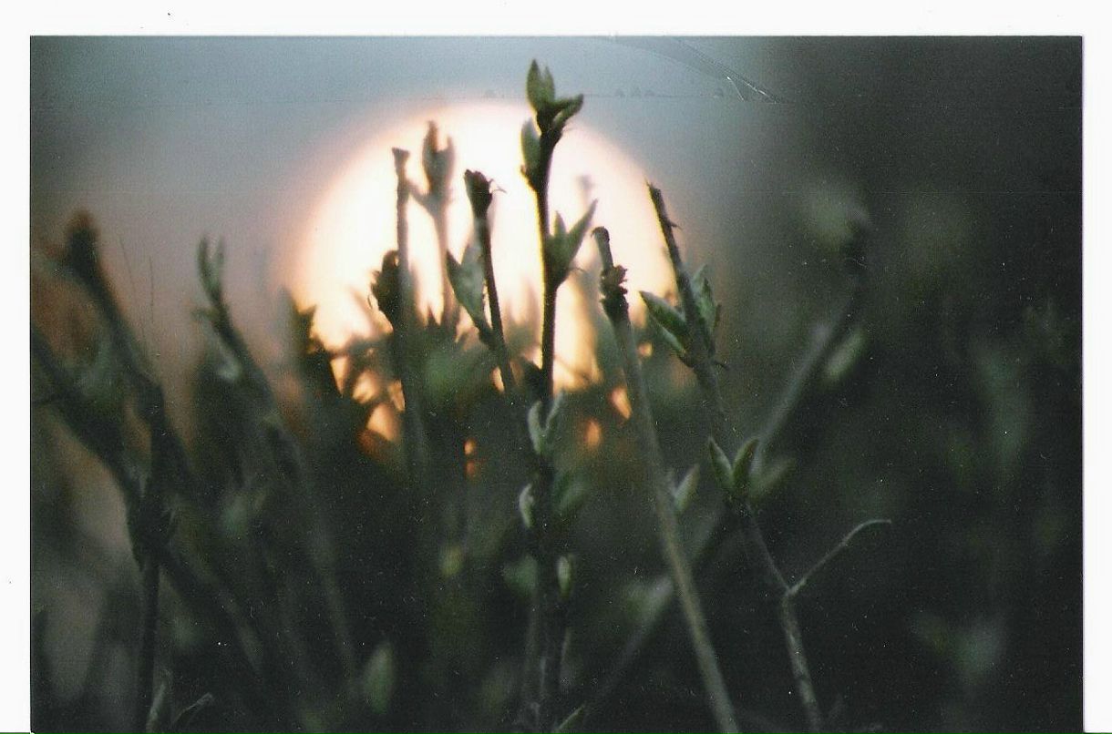 Eskimo Boo ҉ | Москва