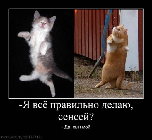 Александр Целищев | 