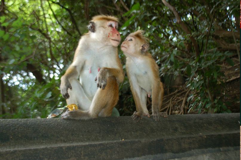 Тоня Пацюк | Москва