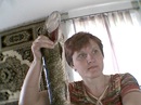 Фотография Никитенко Марины