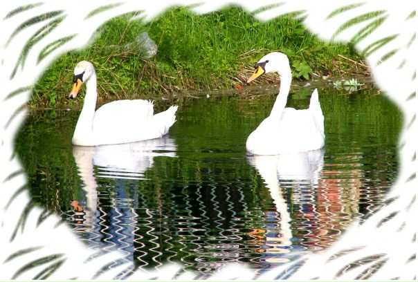 №161, Александр Корнилов, Нижний Новгород №161, Александр Корнилов, Нижний Новгород