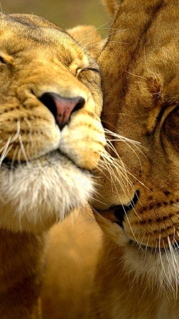 Тёма Марков | Одесса