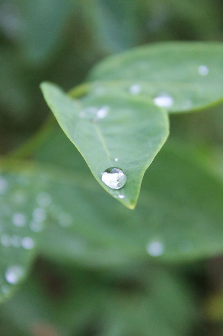 Алёна Булыч | Одесса