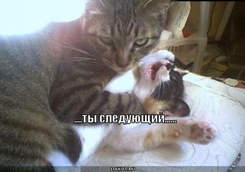 Даша Суворова | Нижний Новгород