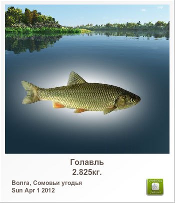 Виктор Юрьев | Мурманск