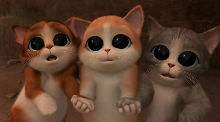 Никита Харитошин | Новосибирск