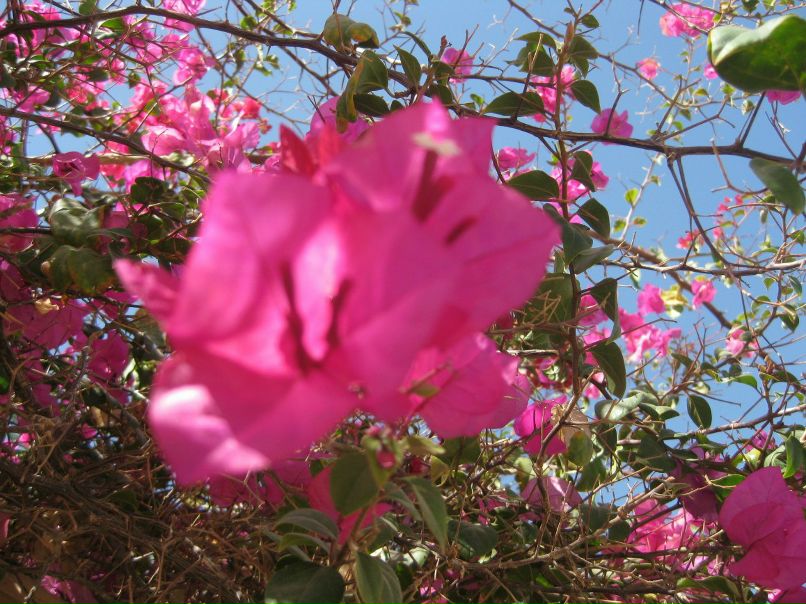 Людмила Гордеева | 