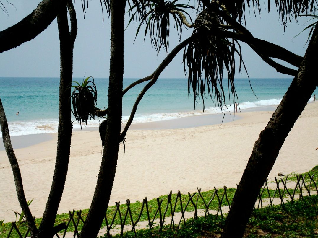 Виктория Матух | Киев