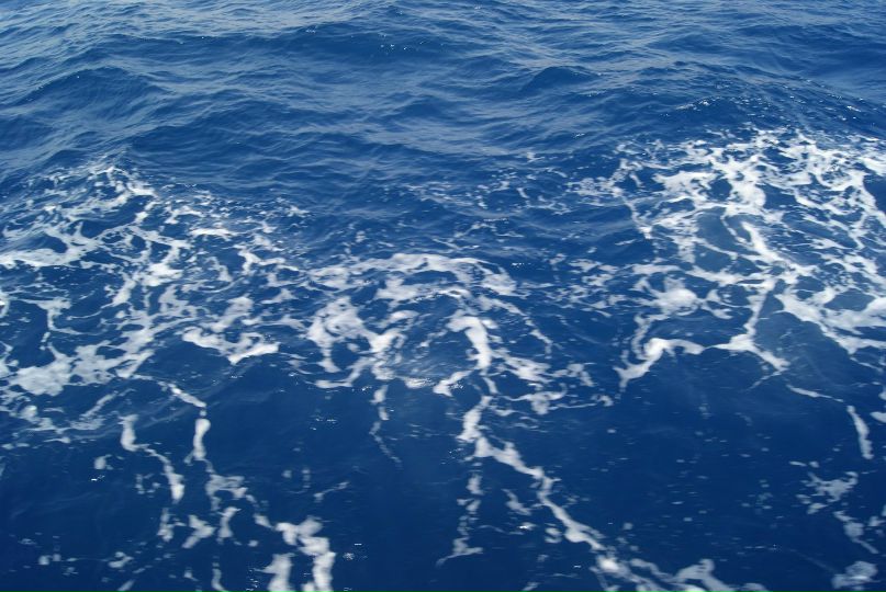 Катерина Бабанина | Белгород