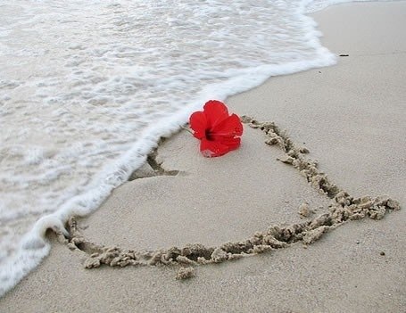 Анна Савенкова | 